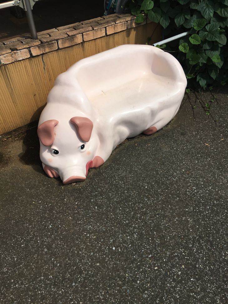 豚ちゃんのベンチ.jpg
